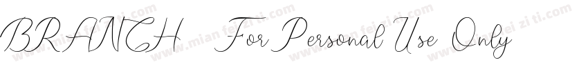 BRANCH   For Personal Use Only字体转换